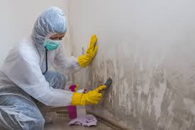 Best Biohazard Mold Removal  in Big River, CA